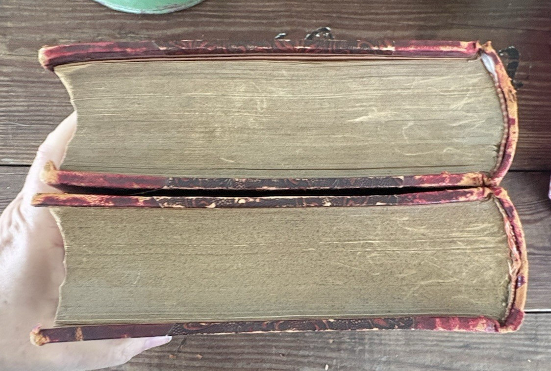 Antique Decorative Pair of Books Red Full Leather 1910 Danish Lande Og Folk
