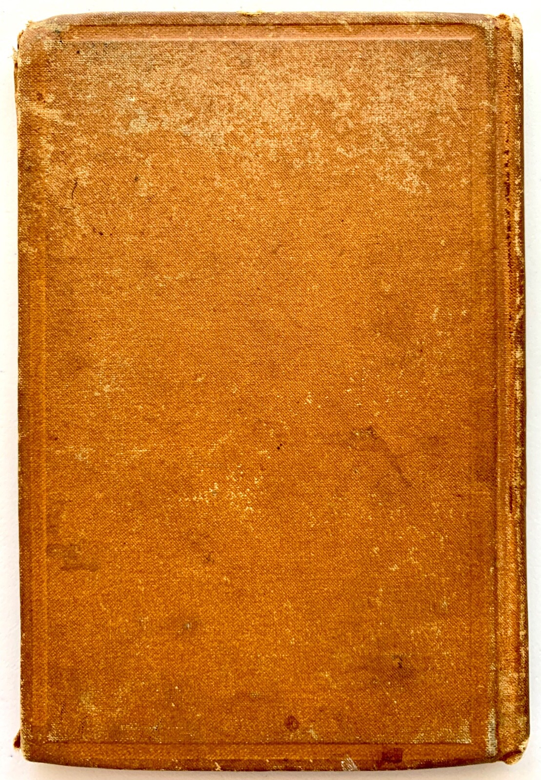 HAL FOOTE’S WALNUTS – Dodd, Mead, & Co. [1878] Antique Children’s – Hard to Find