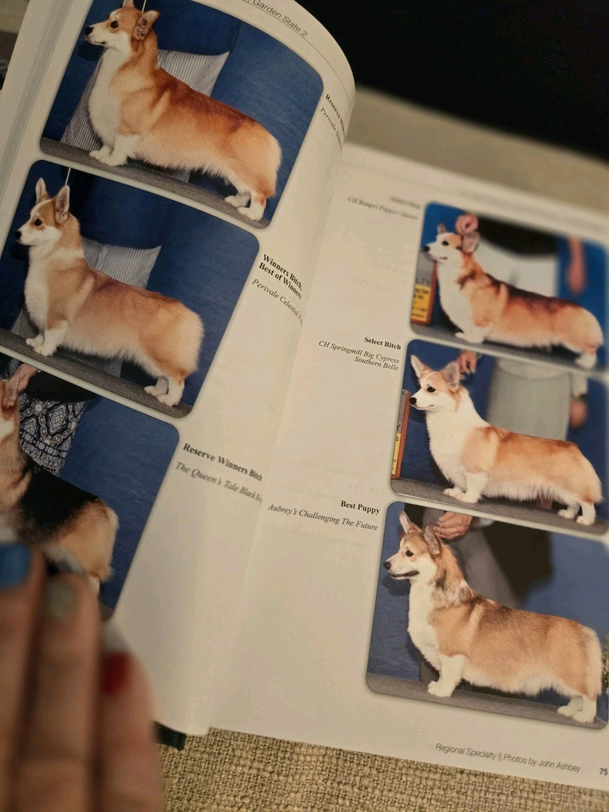 Pembroke Welsh Corgis In America Hardcover 2020 & 2021 PWCCA Handbook Club