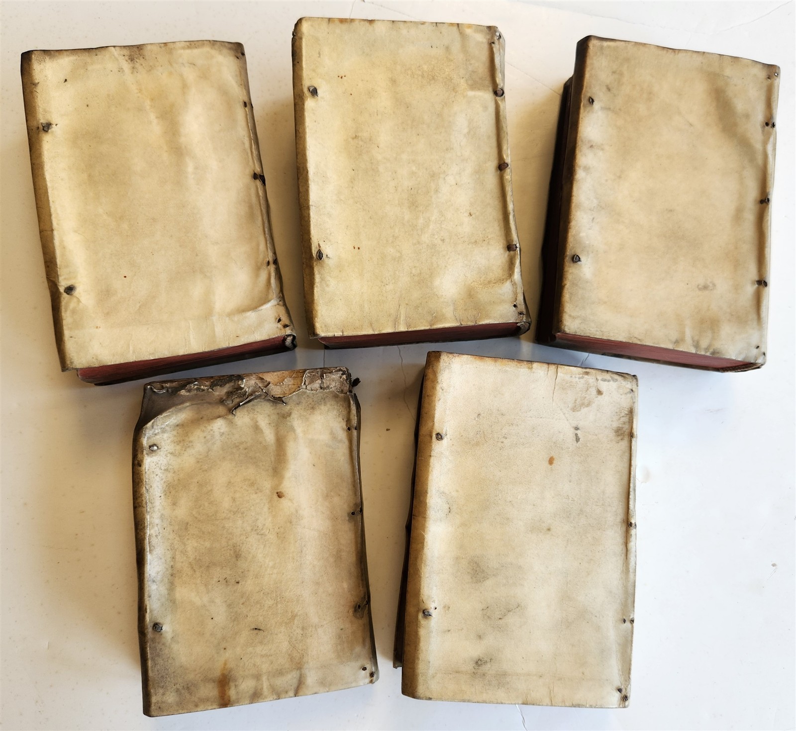 1565 PLINIUS encyclopaedia of natural history 5 VELLUM BOUND VOLUMES 16c ANTIQUE