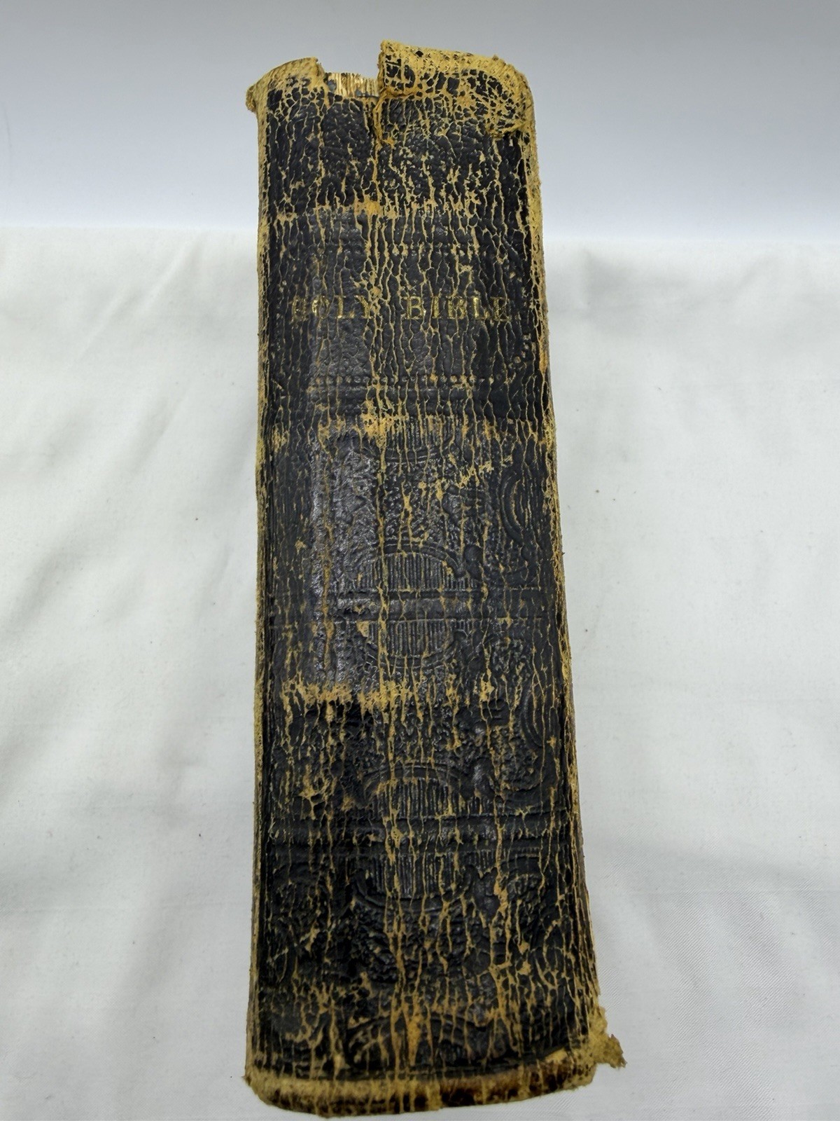 Holy Bible New & Old Testaments Orig Tongues New York American Bible S. 1866