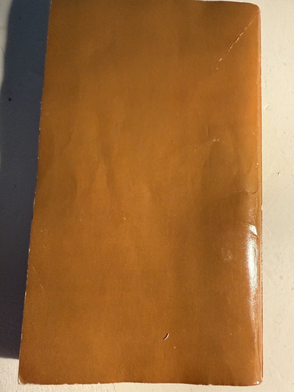 GUY TUTOR – 1970 BERT SHRADER – FRENCH LINE VINTAGE PULP NOVEL GAY INTEREST