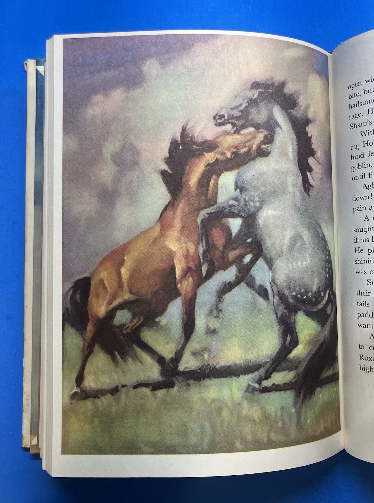 1948 Vtg King of the Wind Story of Godolphin Arabian Horse Marguerite Henry HCDJ