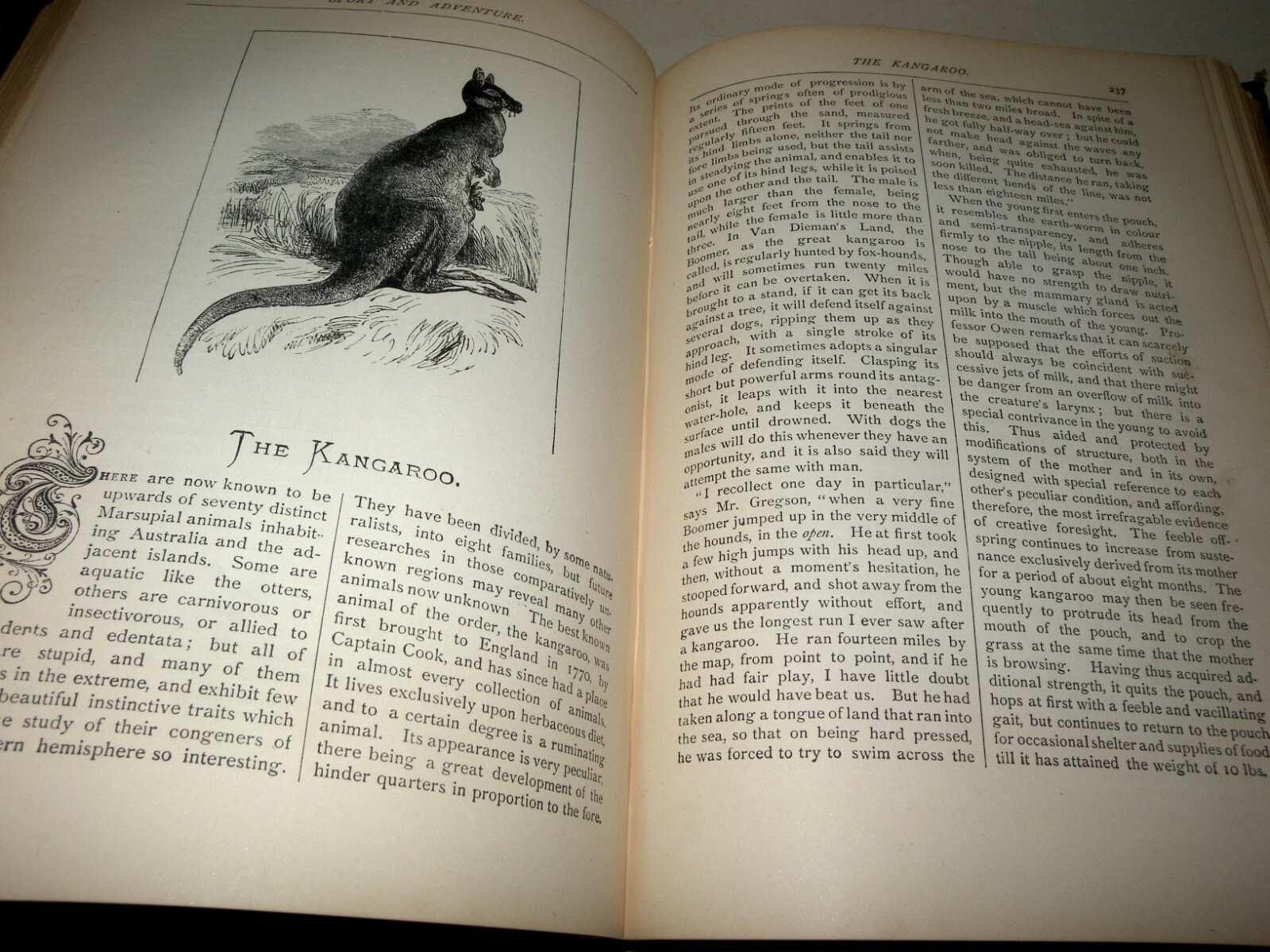 The Pictorial Museum Of Sport & Adventure: Hardback, Illustrated Frederick Warne