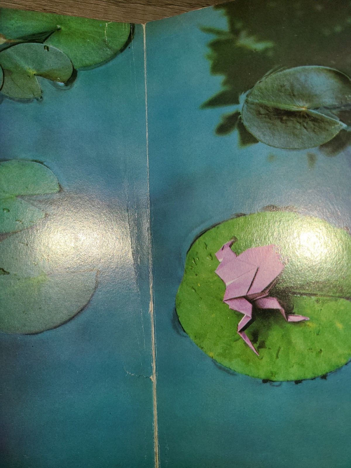 Vtg board book, My Origami Animals and Fishes, A Do-it-yourself Paper Menagerie
