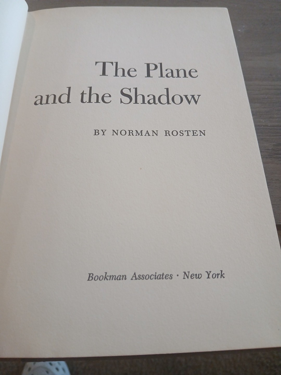The Plane And The Shadow By Norman Rosten