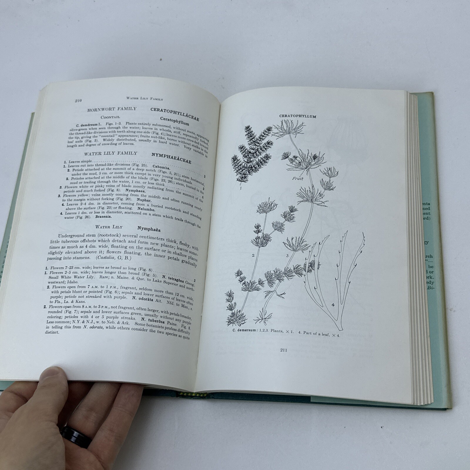A Manual of Aquatic Plants by Fassett, Norman C. Hardcover 1969