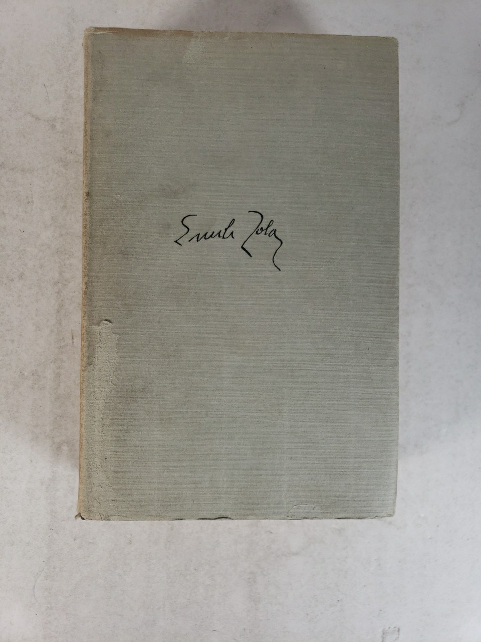 EMILE ZOLA Piping Hot (Publisher Boni and Liveright) 1924 Hardcover Dust Jacket