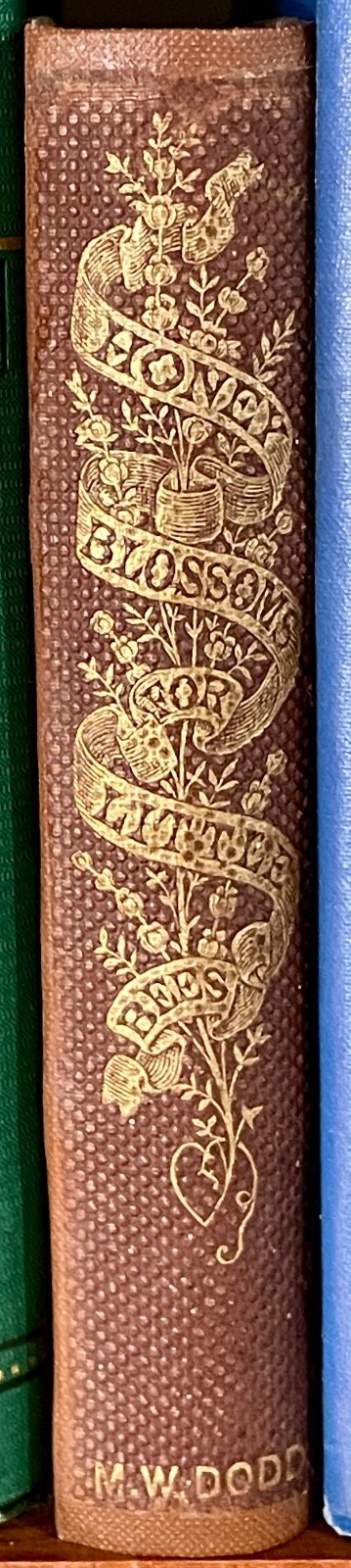 Honey Blossoms for Little Bees 1859 Victorian Decorative Binding Antique 1st Ed