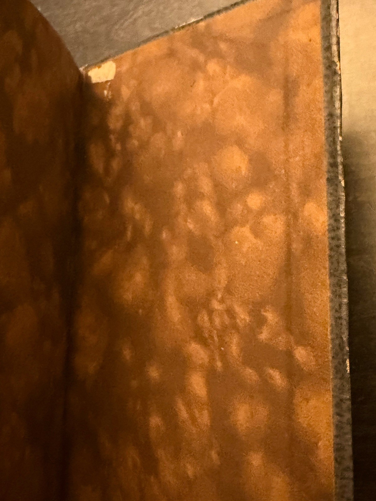 Robert Louis Stevenson Antique British Books Ltd, “The Merry Men”