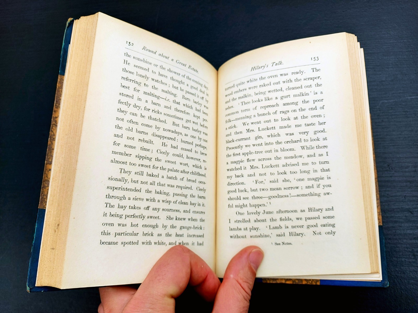 1880 – 1st Ed. – Round About a Great Estate by Richard Jefferies – Fine binding