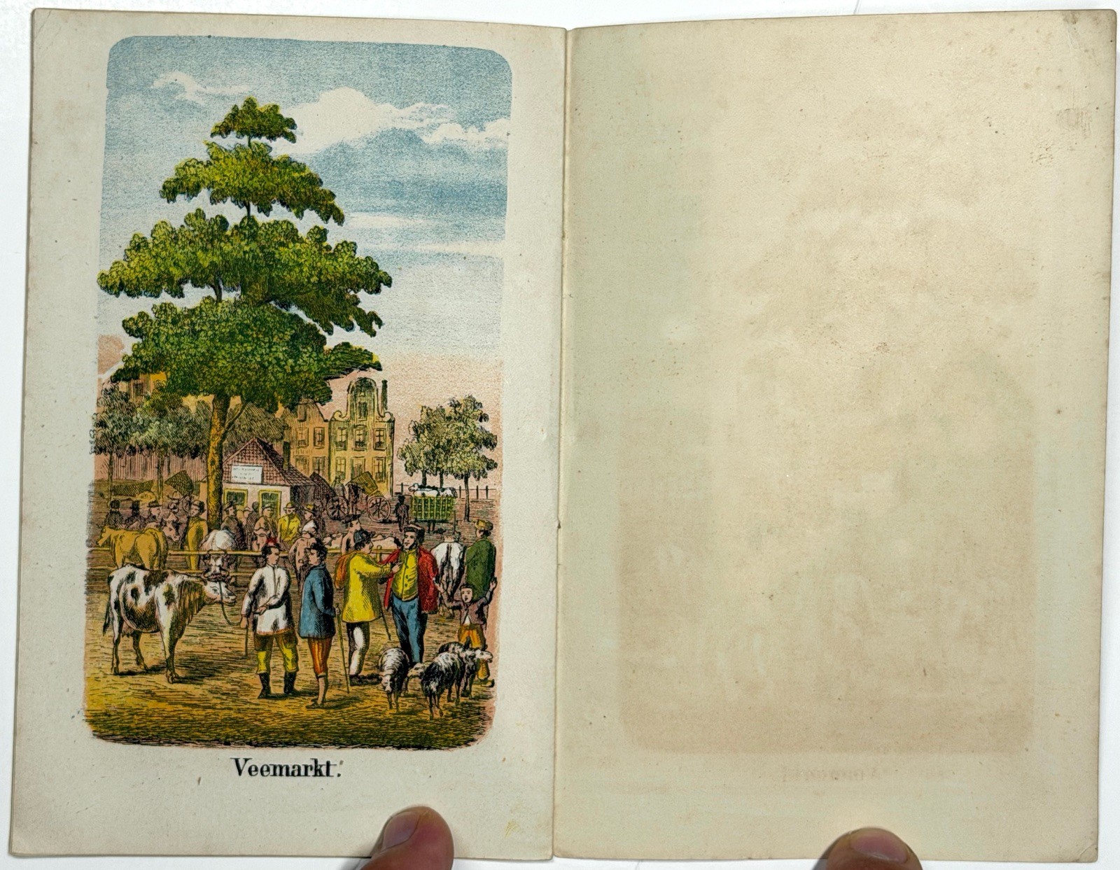 1880 HET BOERENLEVEN DUTCH CHILDRENS BOOK DE HAAN EMRIK BINGER COLOR LITHO