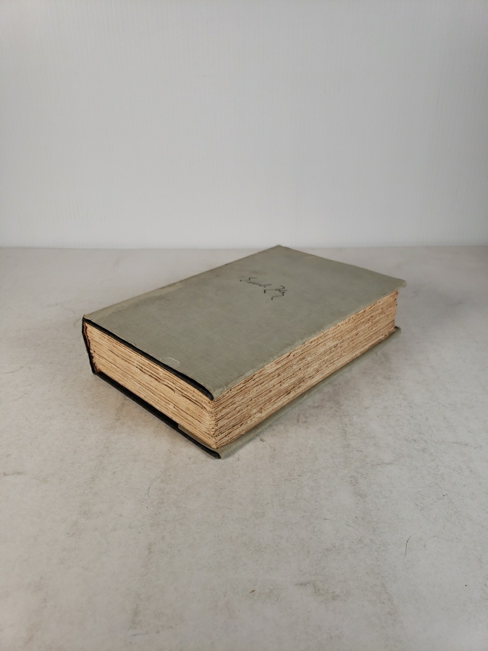 EMILE ZOLA Piping Hot (Publisher Boni and Liveright) 1924 Hardcover Dust Jacket