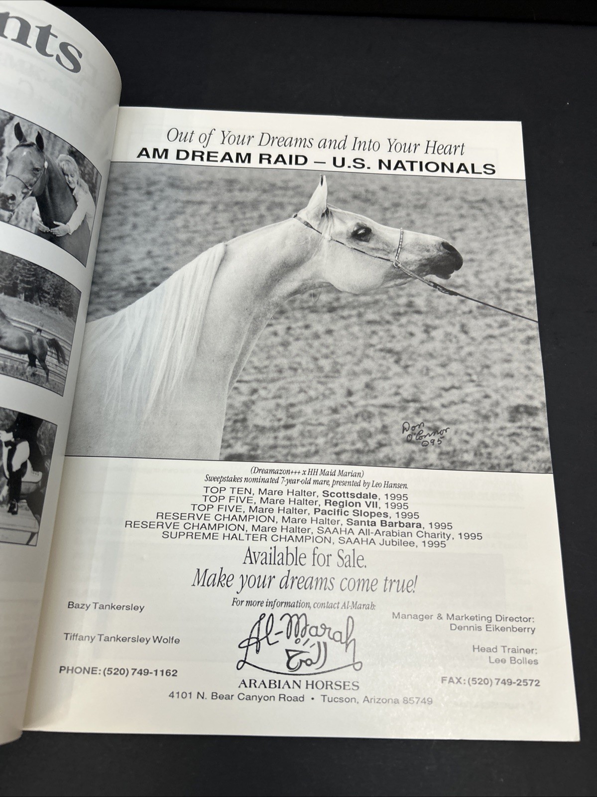 Arabian Visions Magazine Horse September- October 1995 Vintage