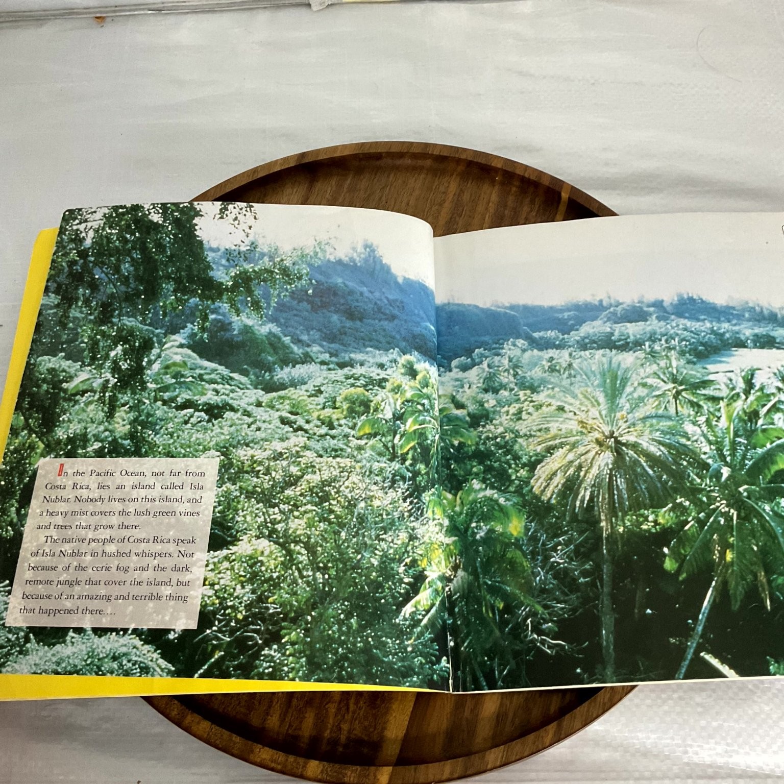 Lot of 2 The Making of Jurassic Park Movie Don Shay Jody Duncan 1993 First Ed