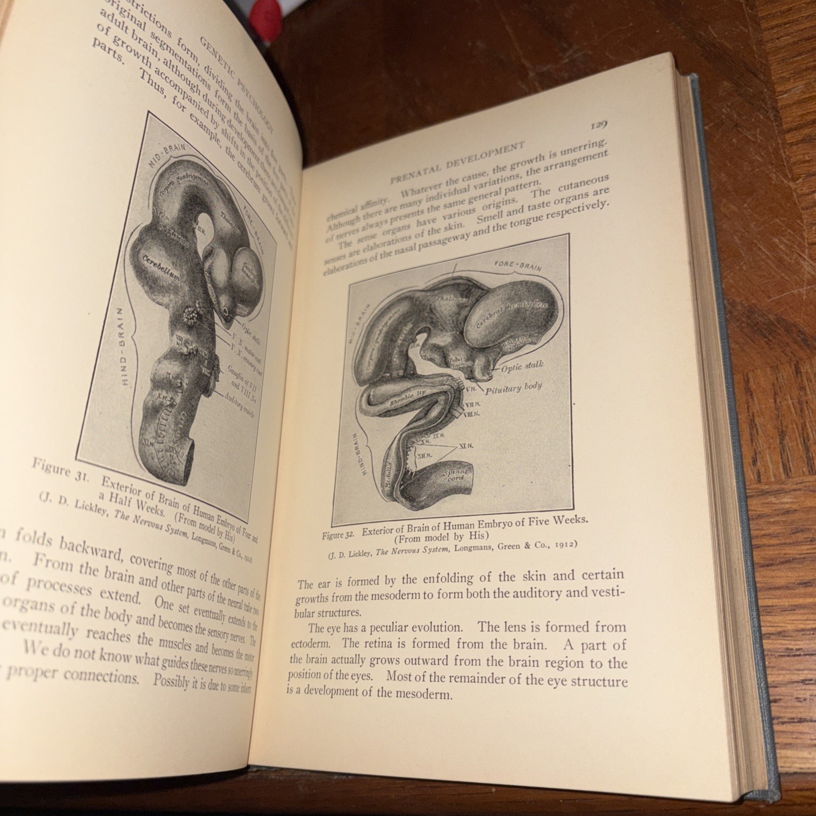Genetic Psychology 1933 A R GILLILAND – Antique Ronald Press Illustrated