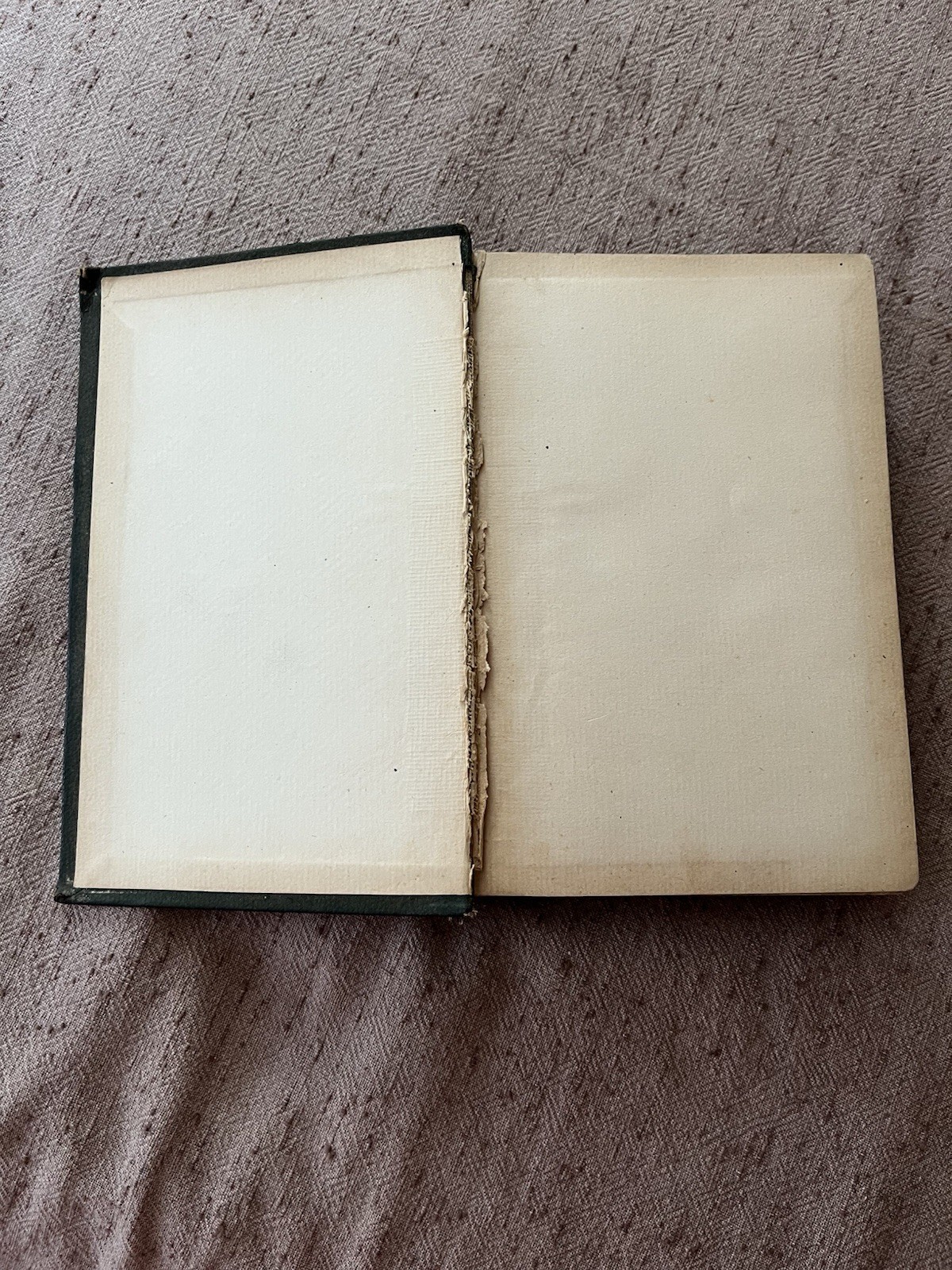 The Everyday Cookbook and Encyclopedia of Practical Recipes by Miss E. Neil