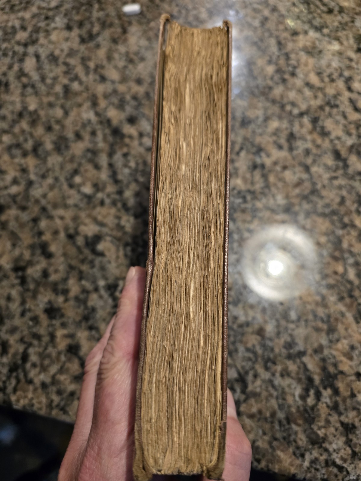 RARE 1823 Martin Luther On The Bondage Of The Will (H. Cole) 1st Ed. NO COPIES!
