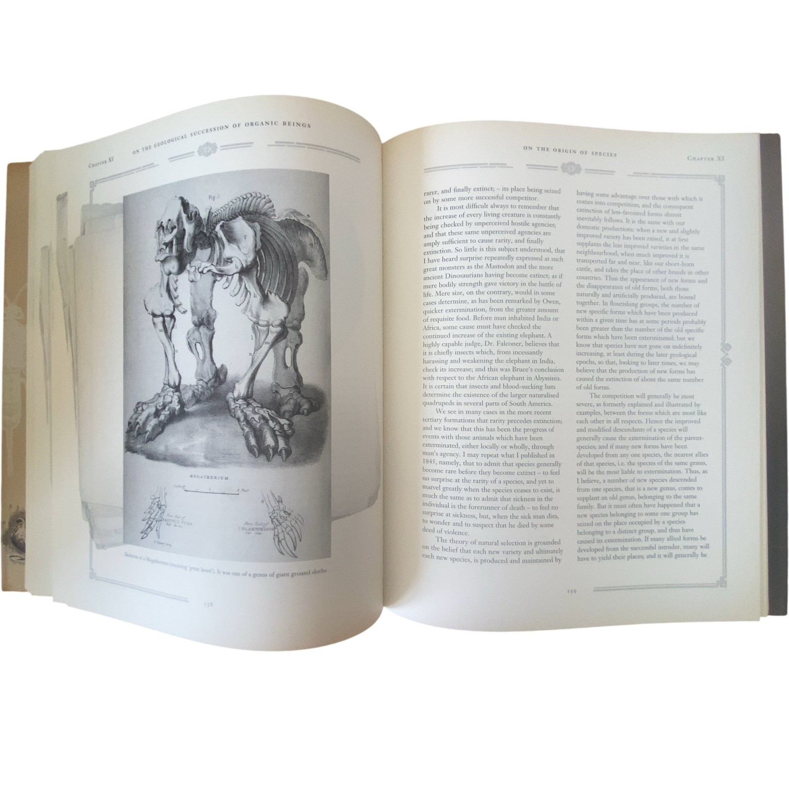 On The Origin Of Species Means Of Natural Selection Charles Darwin Illustrated