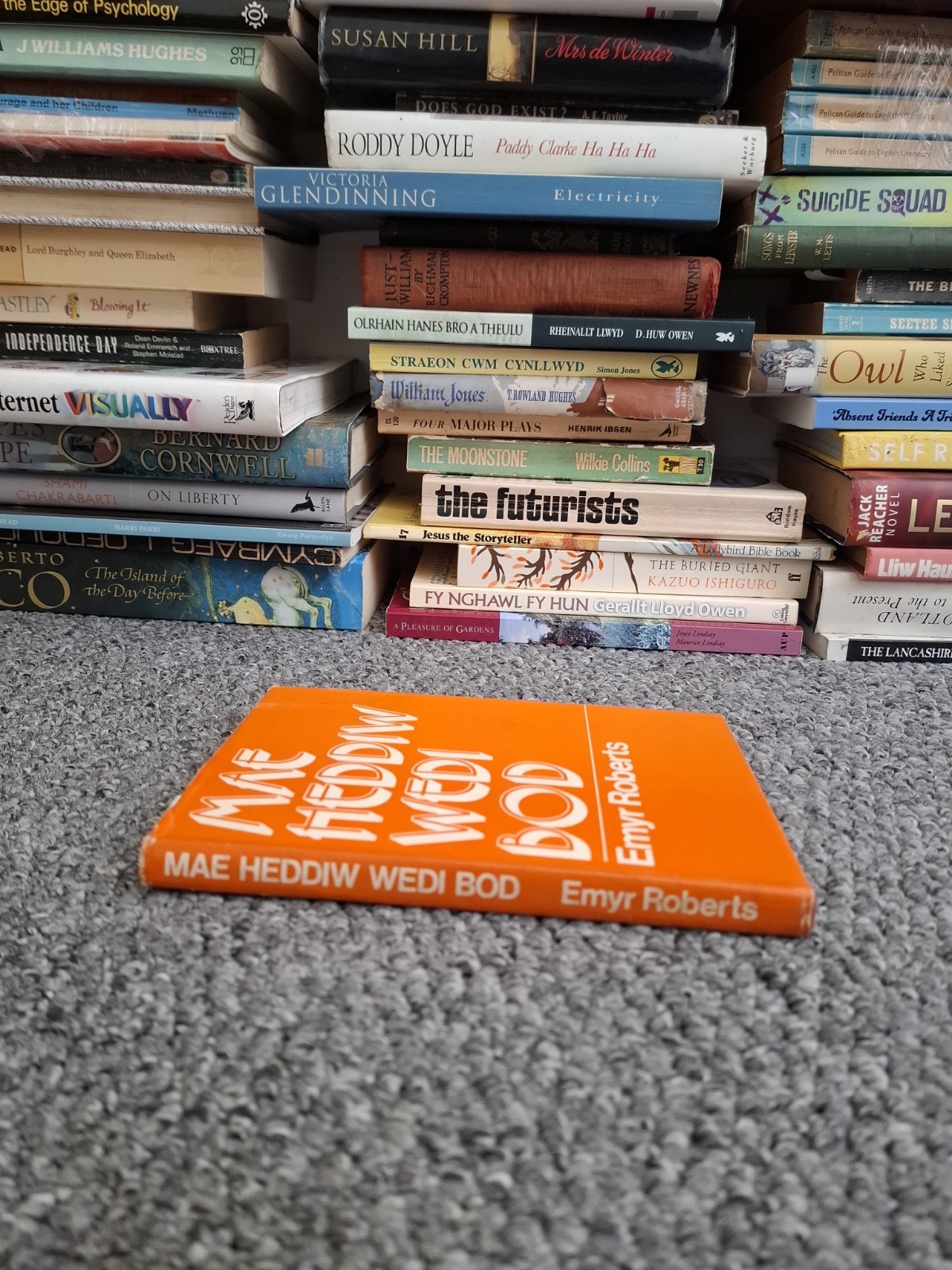 Mae Heddiw Wedi Bod Gan Emyr Roberts 1973 Hb AA8