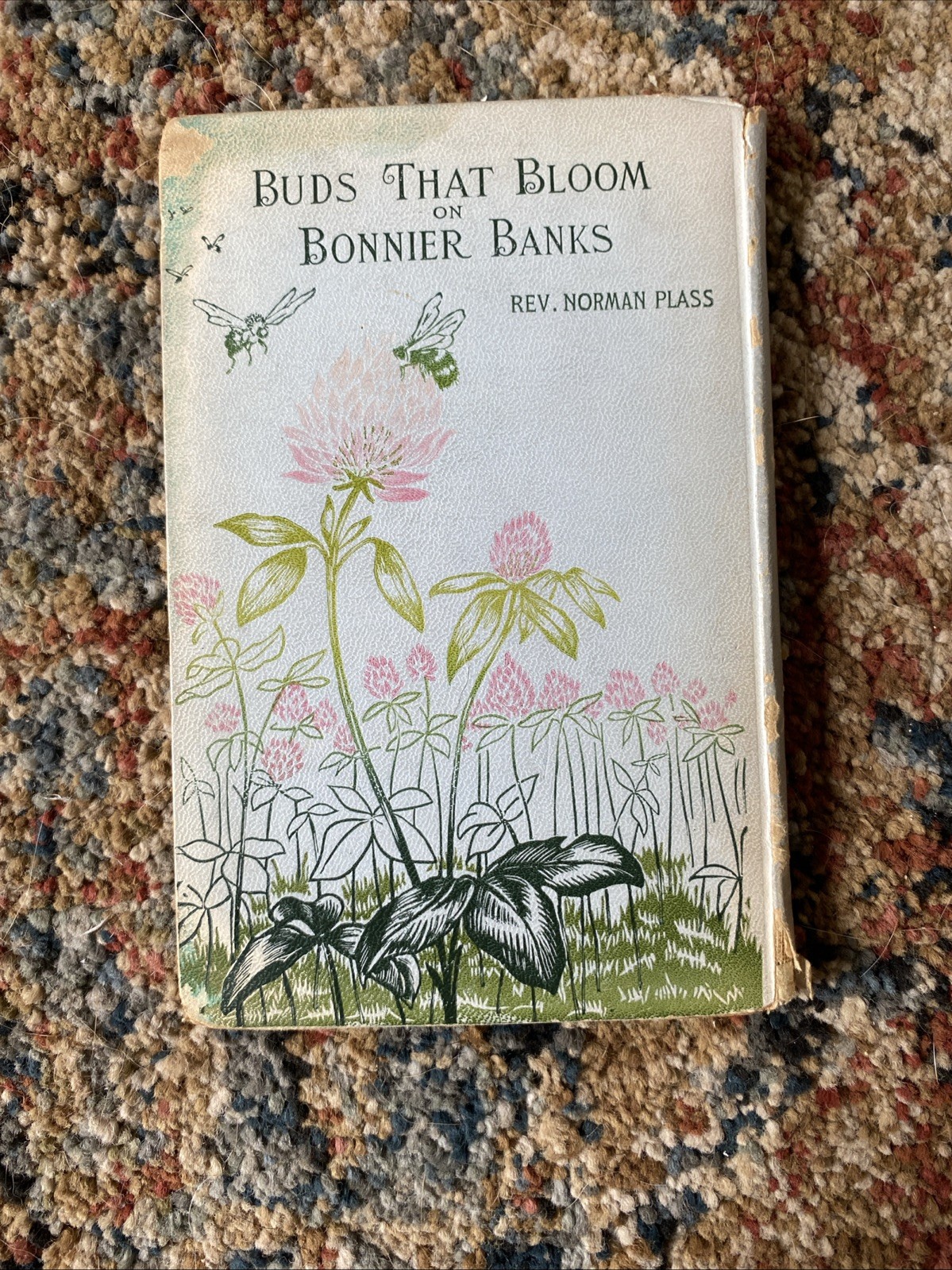ANTIQUE Buds That Bloom On Bonnier Banks, 1898. In Good Condition