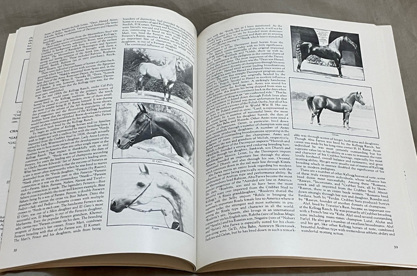 CMK HERITAGE CATALOGUE, 1982, ARABIAN HORSE HISTORY ARTICLES, STALLION DIRECTORY