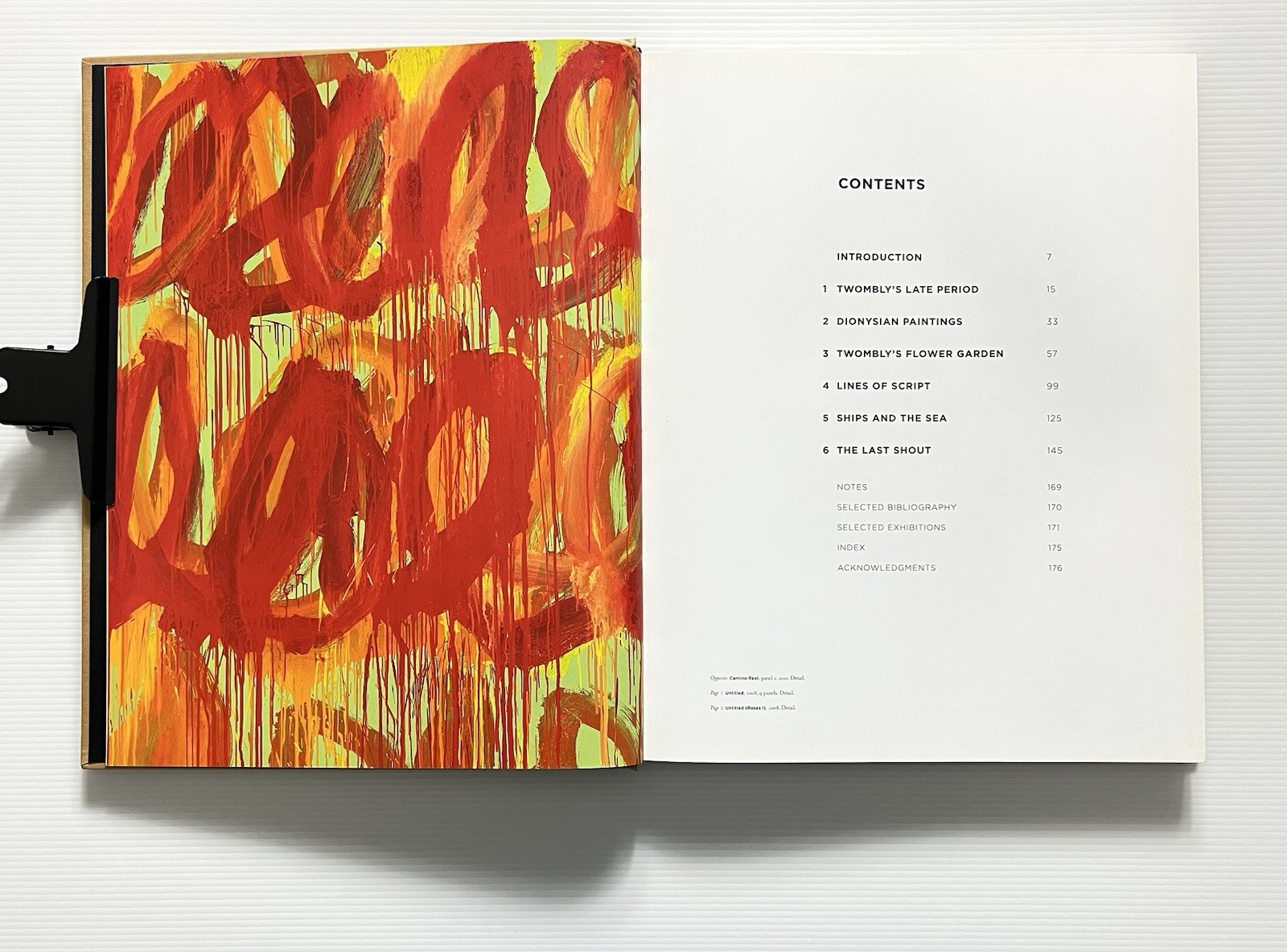 Cy Twombly Late Paintings 2003-2011 by Pavlouskova HC DJ 2015