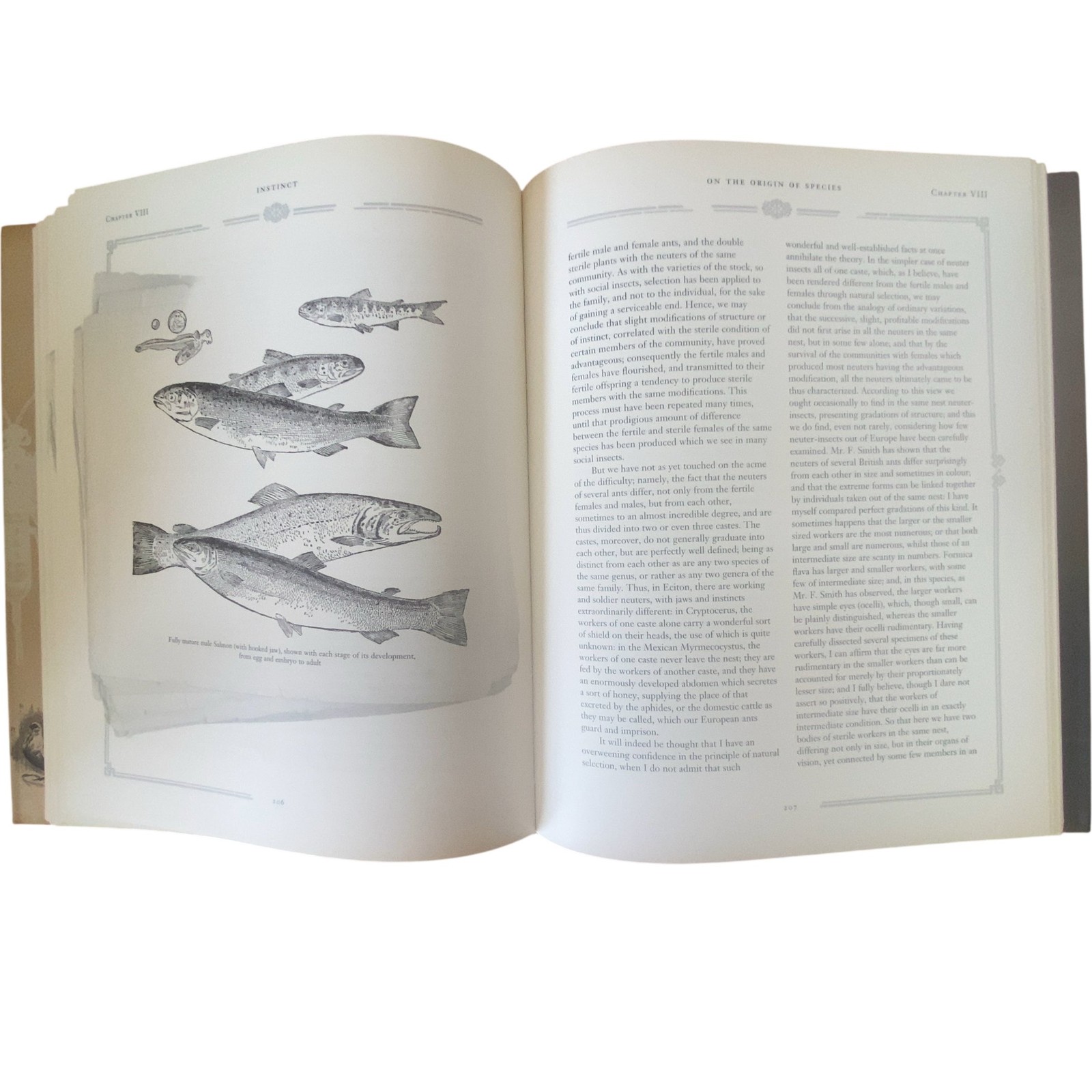 On The Origin Of Species Means Of Natural Selection Charles Darwin Illustrated