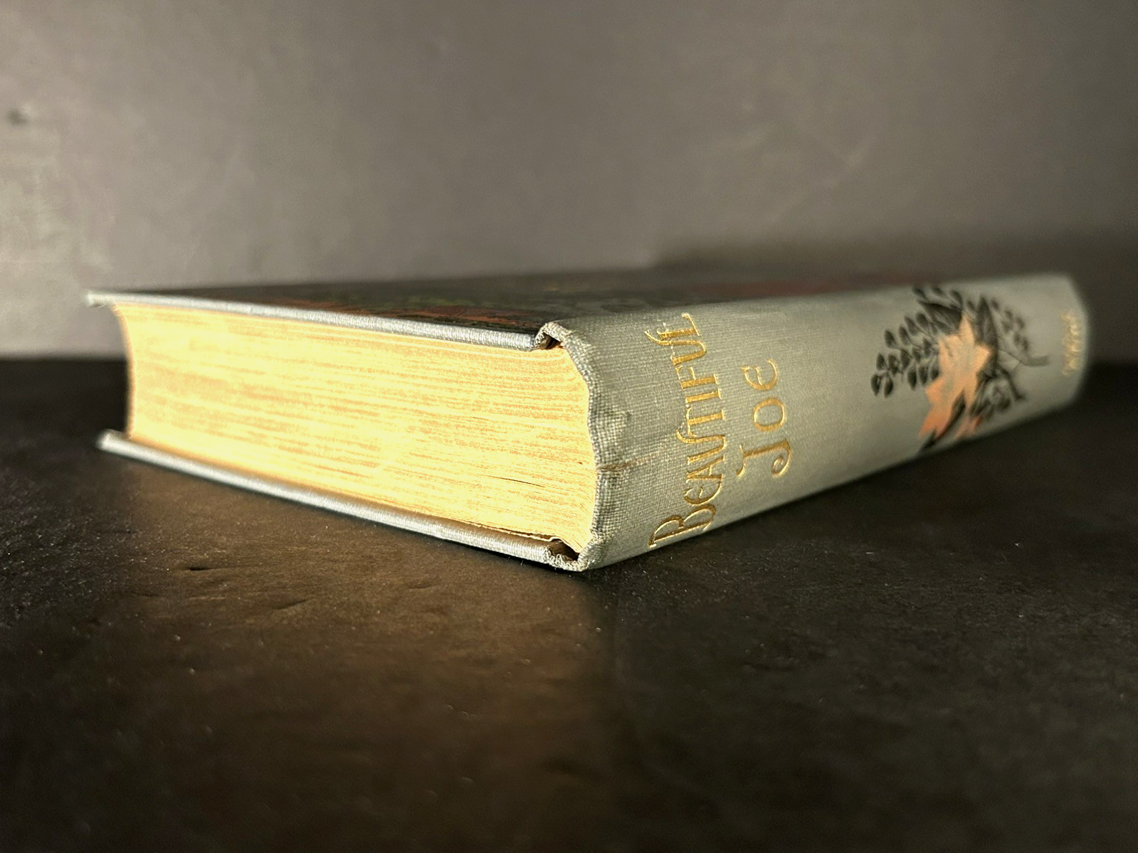 Antique Christian Novel BEAUTIFUL JOE AN AUTOBIOGRAPHY OF A DOG Fine Binding1904