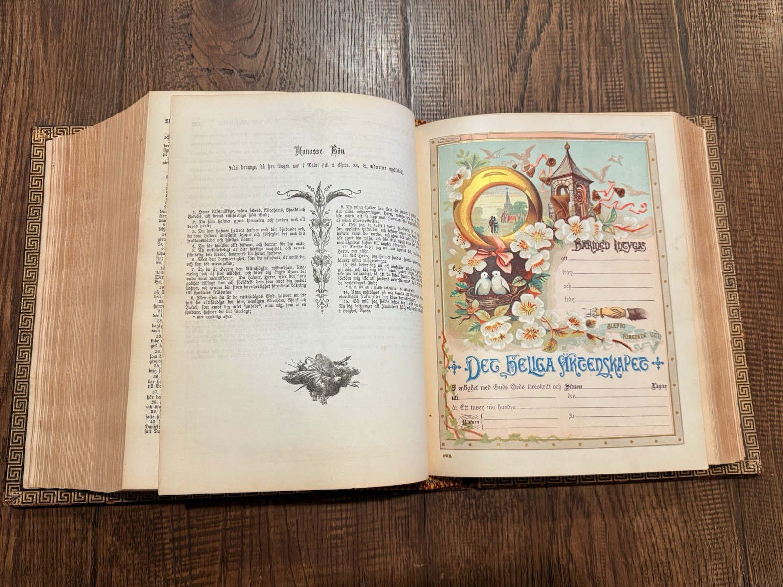 Antique Swedish Family Bible Gustave Dore Illustrated Family Records -1890