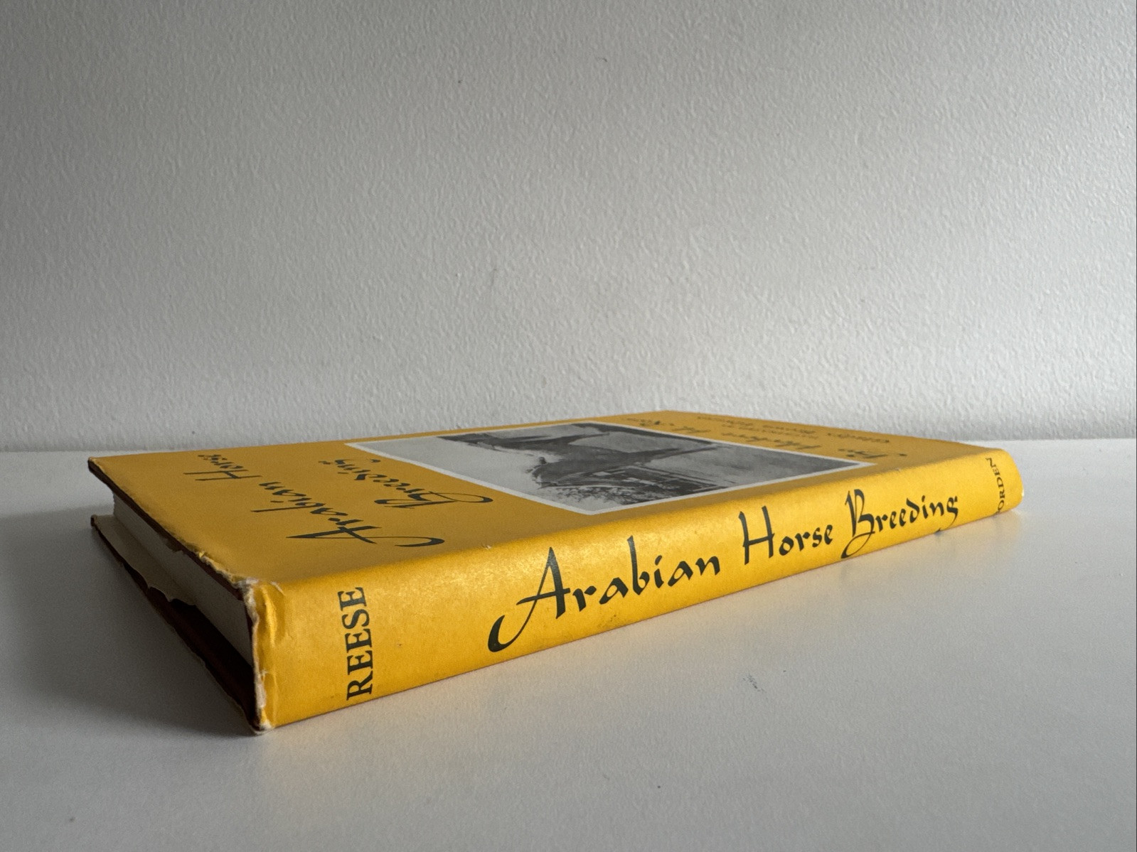 Arabian Horse Breeding by Herbert H. Reese Ill by Gladys Brown Edwards 6th. Ed.