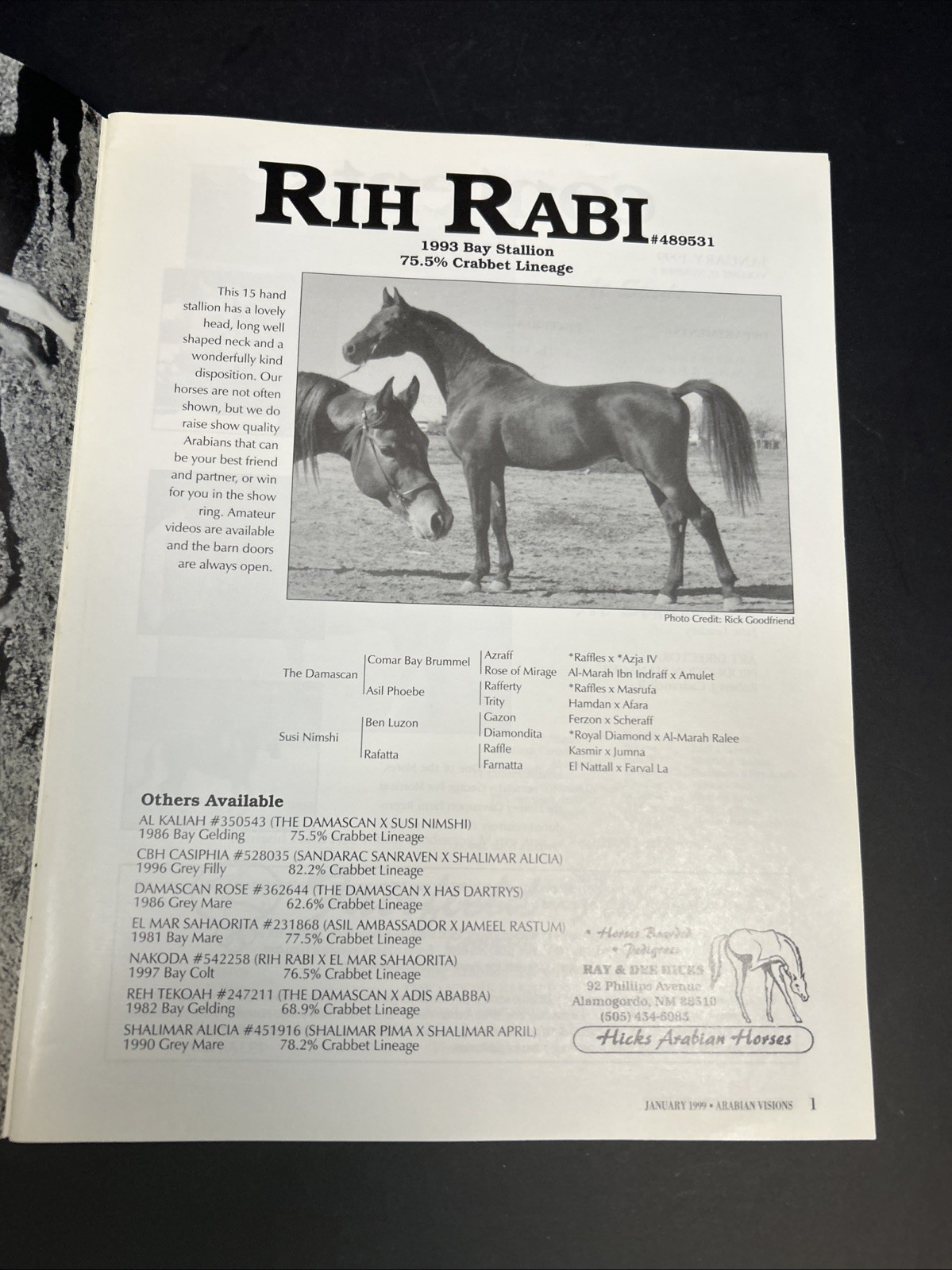 Arabian Visions Magazine Horse January 1999 Vintage