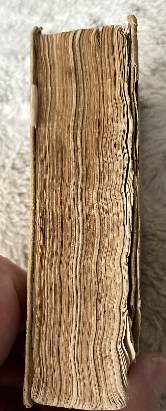 Rare 1608 Antique Book: Le Muse Sacre – Pietro Petracci – 17th Century Treasure