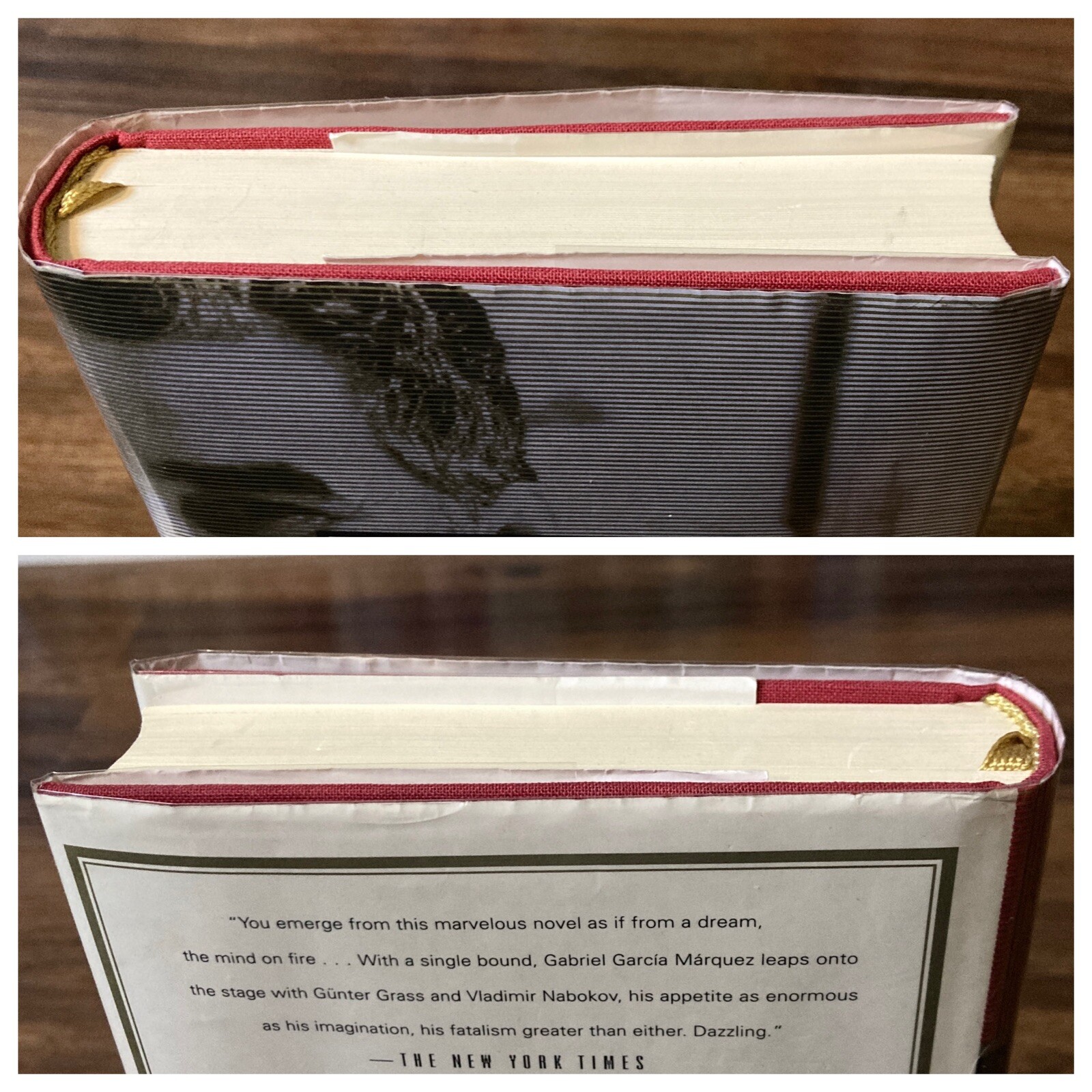 One Hundred Years of Solitude – Gabriel Garcia Marquez (Everyman’s Library ed.)