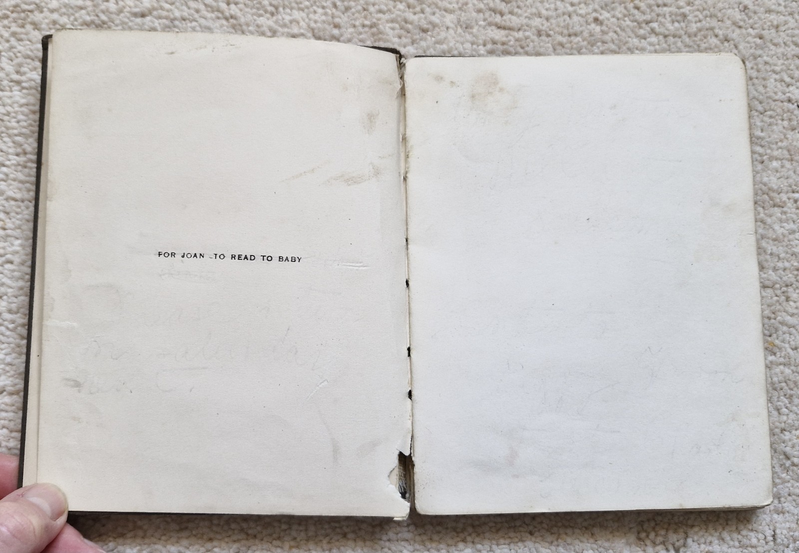 The Pie And The Patty-Pan By Beatrix Potter, 1st Edition, 1905, Frederick Warne