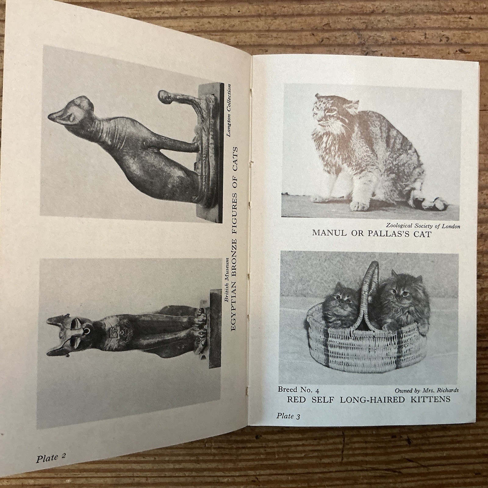 lot Of 2 THE OBSERVER’S BOOK OF CATS / TREES – Pocket Books Vintage Very Good