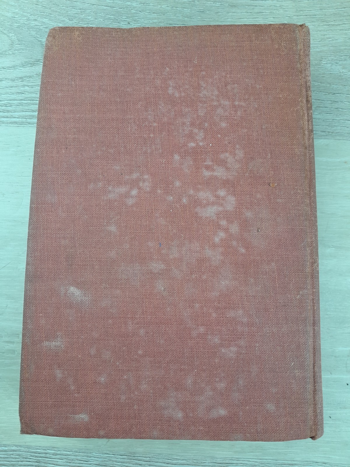 1920 Four Little Blossoms Thier Winter Fun Mabel C. Hawley Antique 1st Edition