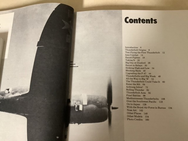 Military Planes Aircraft P-47 Thunderbolt WW2 Bomber War Hess Castles Air Bowman