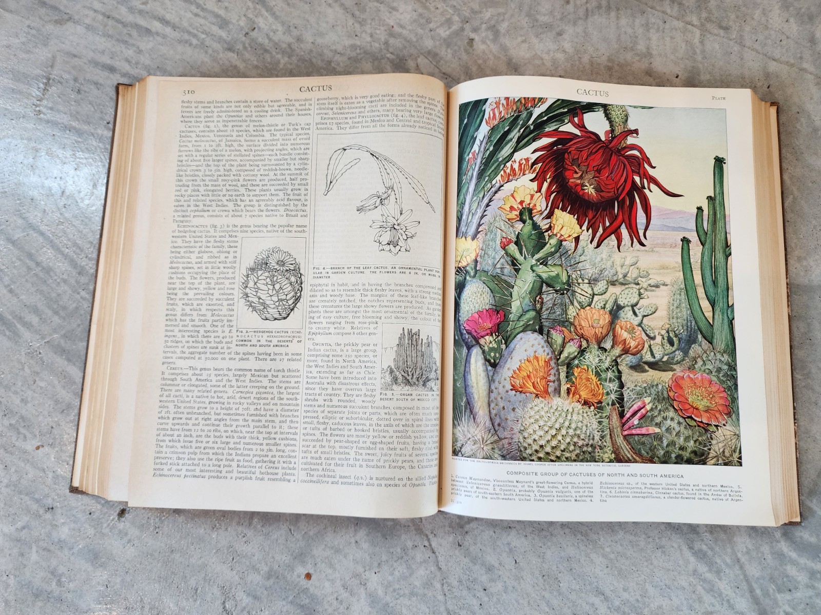 Antique Encyclopedia Britannica 14th Edition 1929 Complete ART DECO LEATHER ED
