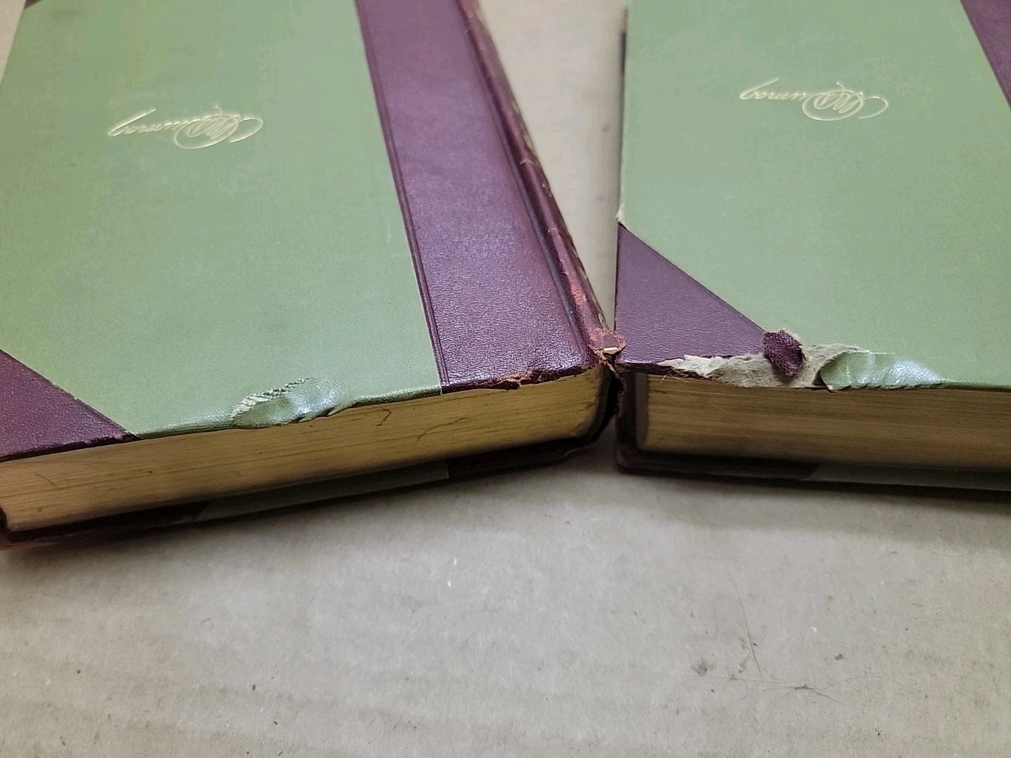 Works of Alexander Dumas Set of 10 Antique HC Volumes Kelmscott Crowell