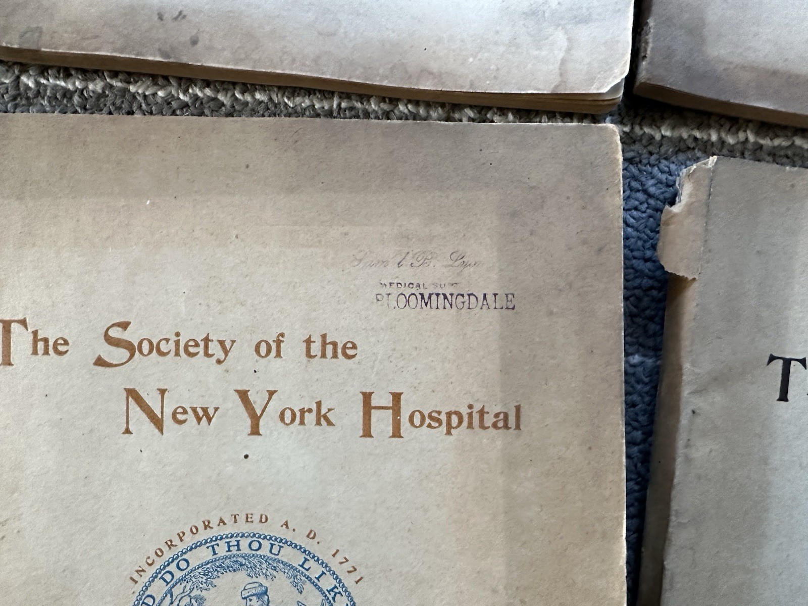 Society Of The New York Hospital / Bloomingdale Asylum Annual Reports NY Insane