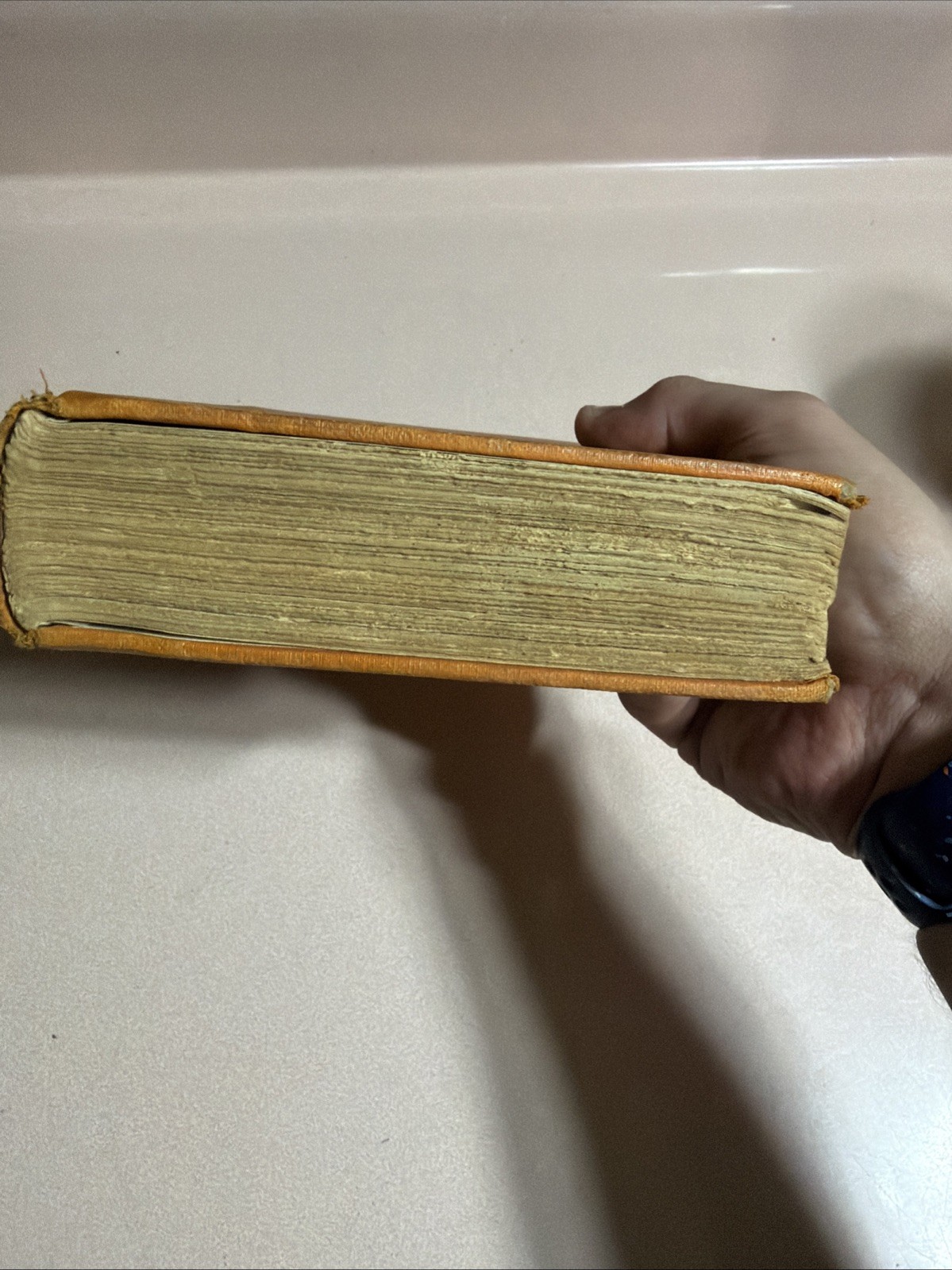 1927 WINE WOMEN AND WAR A Diary Of Disillusionment ANONYMOUS WWI Doughboy AEF