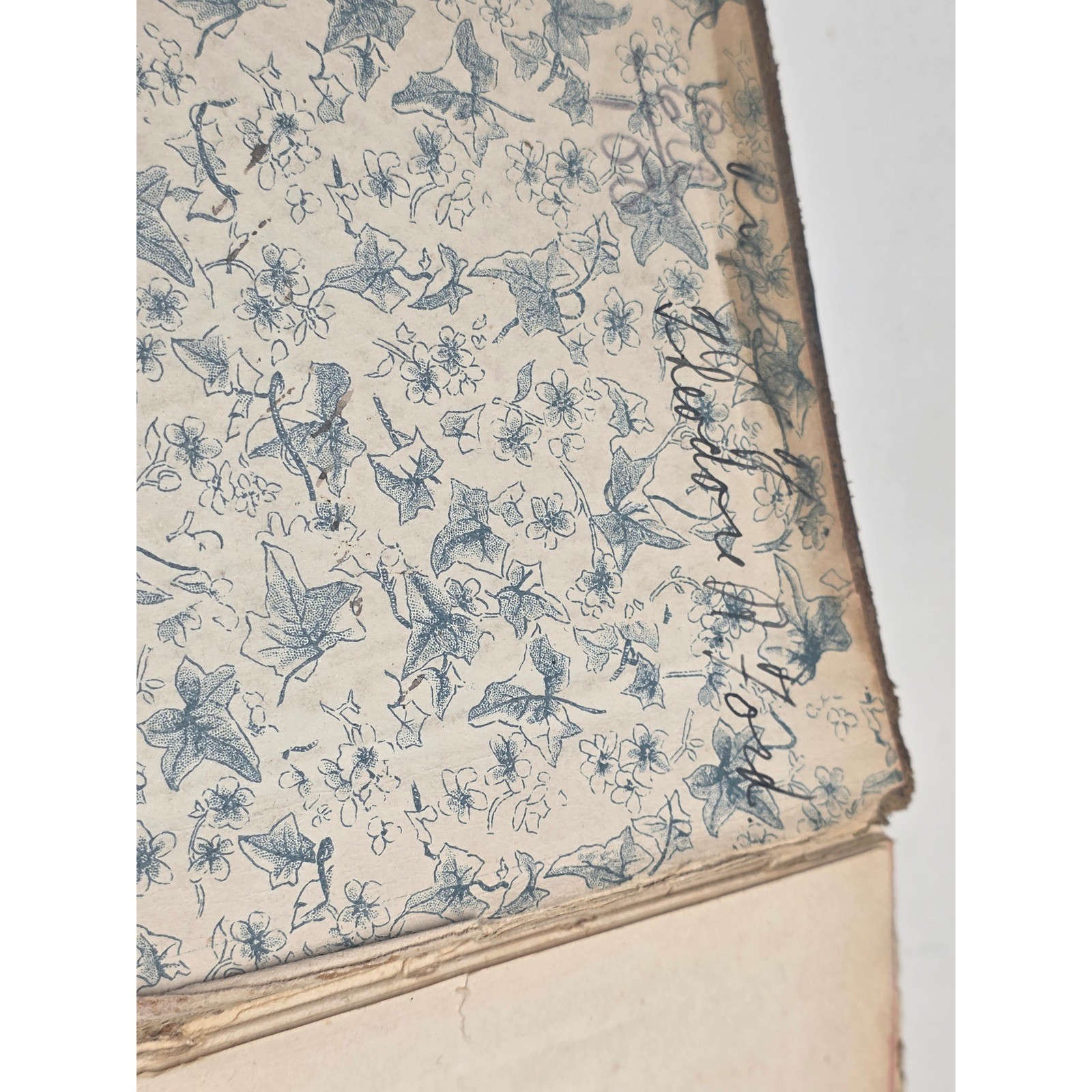 Antique Shakespeare Complete Works Embossed Leather Hardcover Book Gold Gilt