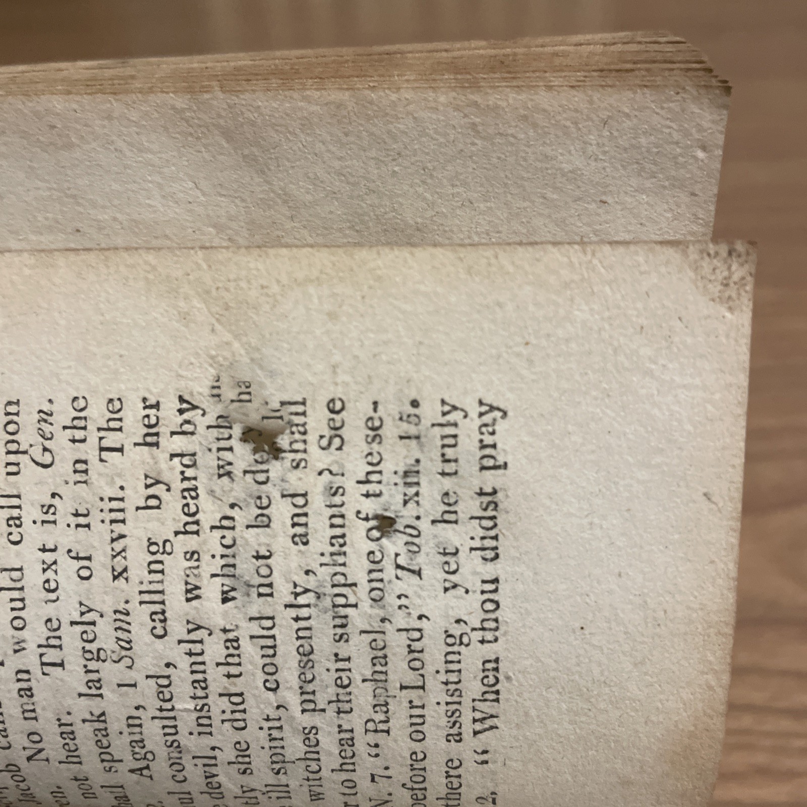 The Catholic Scripturist; or, The Plea of the Roman Catholics; Baltimore 1809