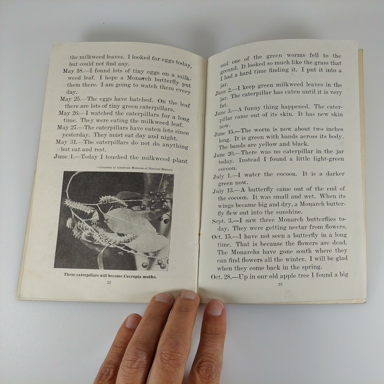 What Animals Eat, Frances Lacy, Unit Study Book No. 355, 1943 Education Book