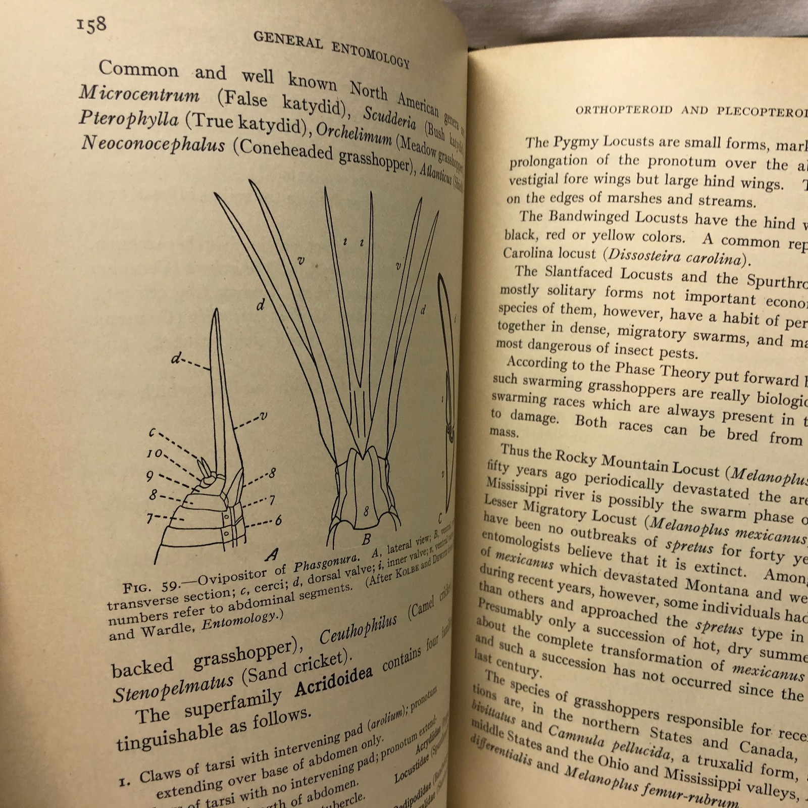 General Entomology Book by Robert A Wardle 96 illustrations 1936 Made in USA