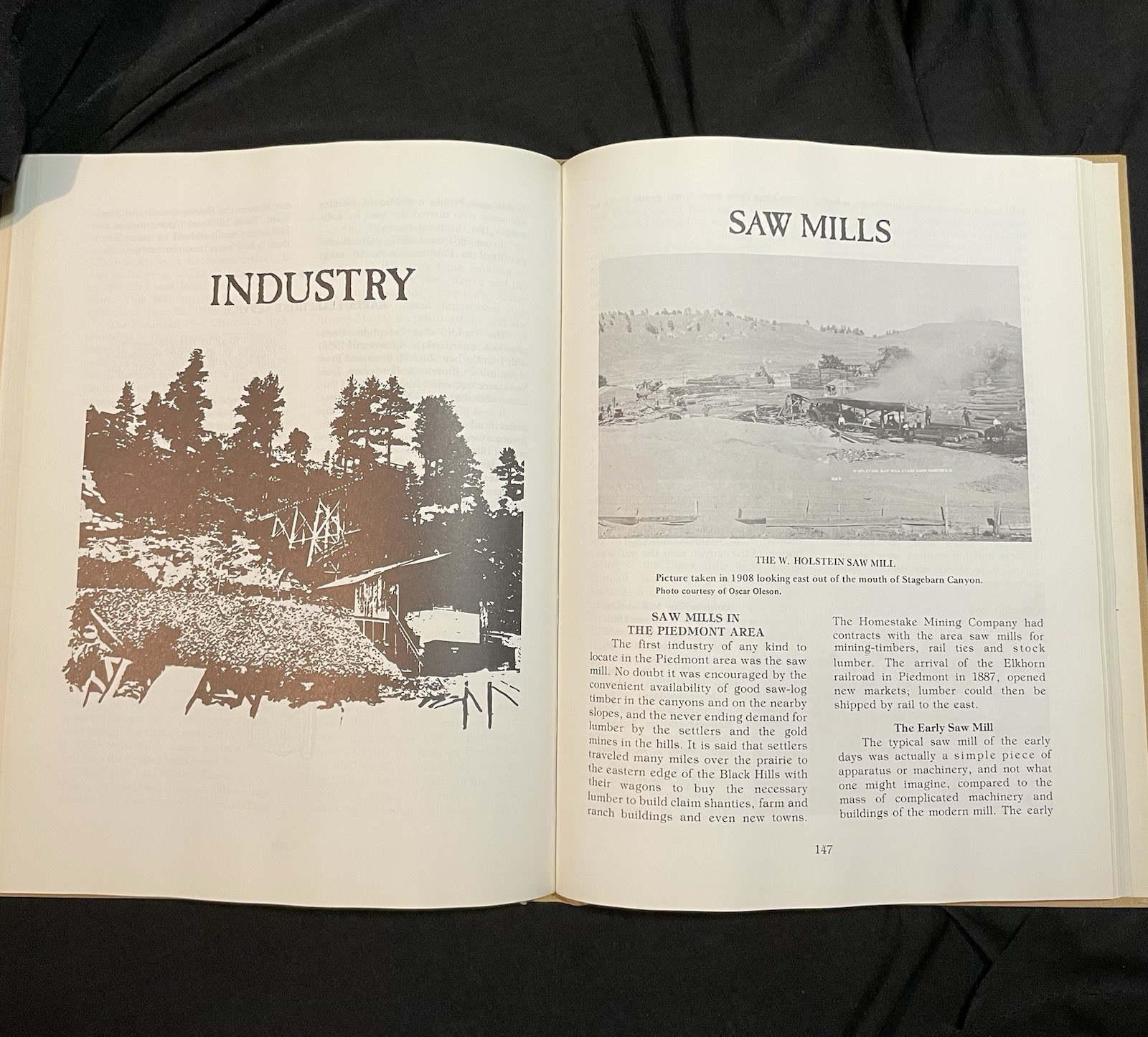 AT THE FOOT OF THE MOUNTAIN by Honerkamp, John R. 1978 Inscribed 1st edition