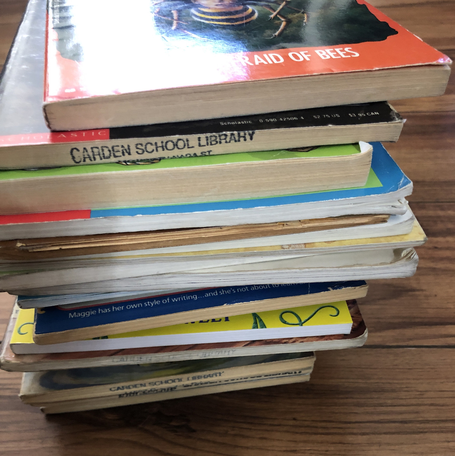 Lot of 20 Chapter Children Young YOUTH RANDOM UNSORTED BOOKS MIX Exlib