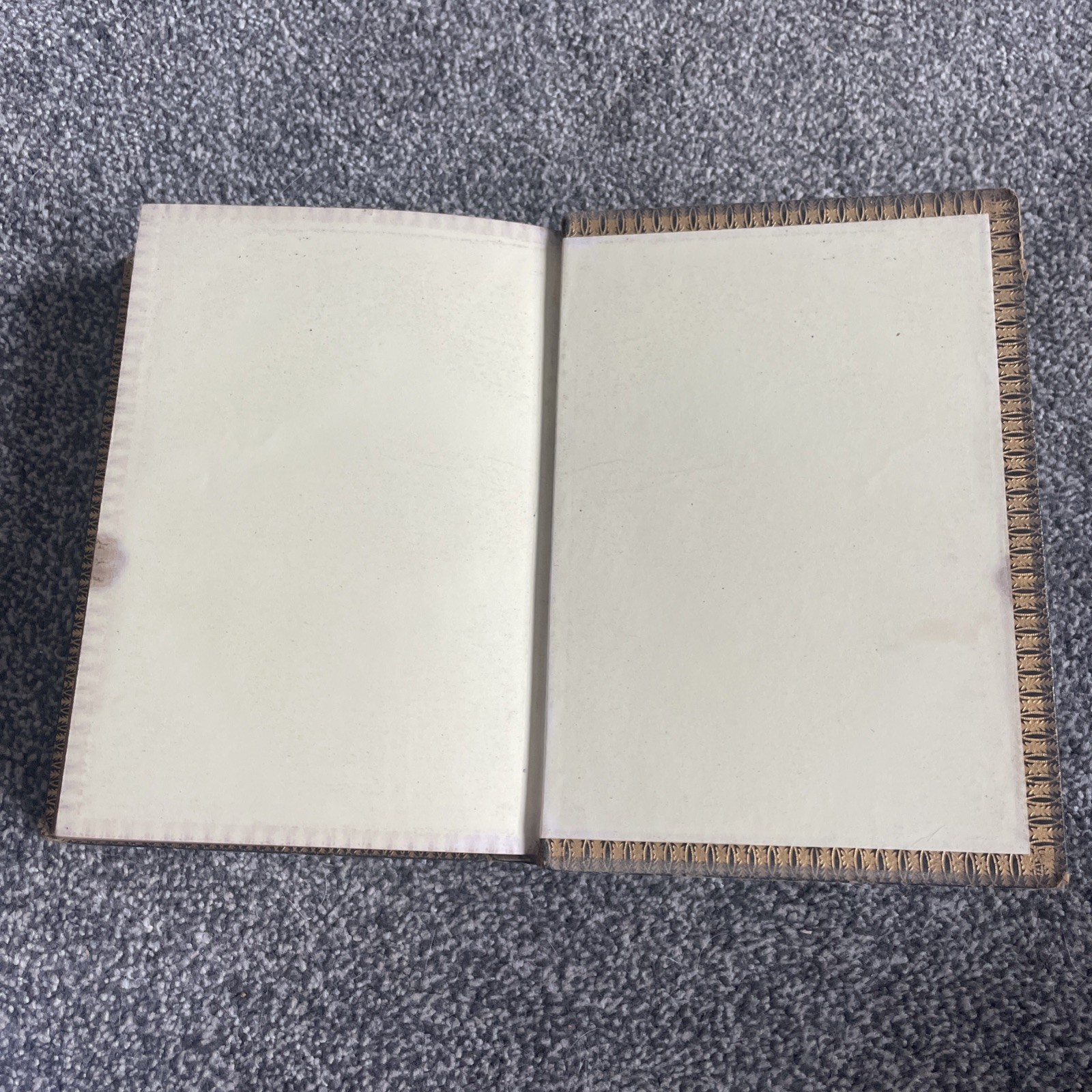 Thomas Moore Poetical Works The Chandos Poet Antique Book Frederick Warne