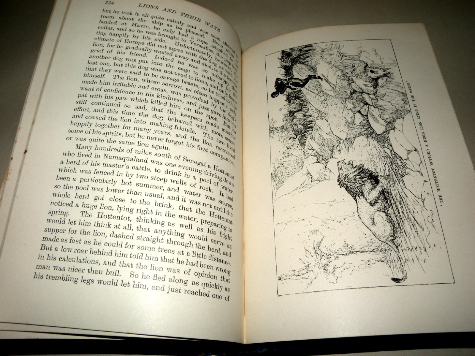The Animal Story Book, Andrew Lang, HB, 1896, Longmans Green And Co,